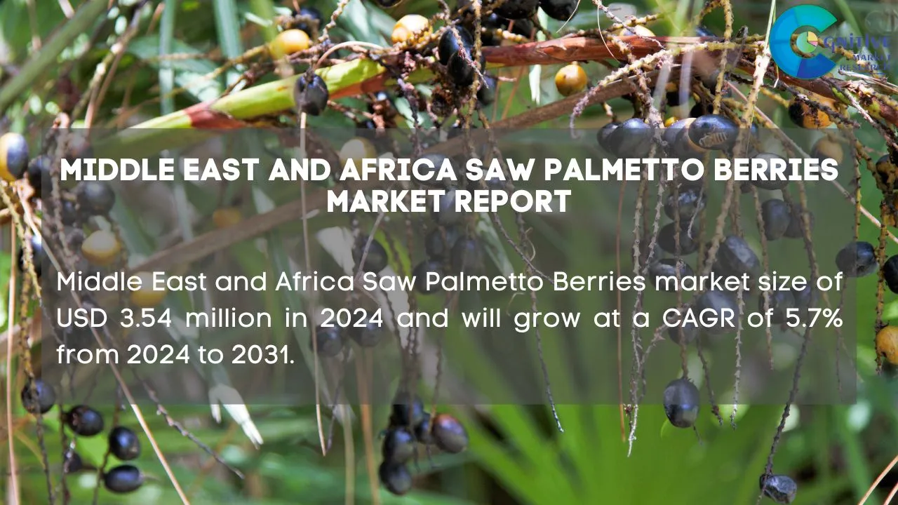 Middle East Saw Palmetto Berries Market Report