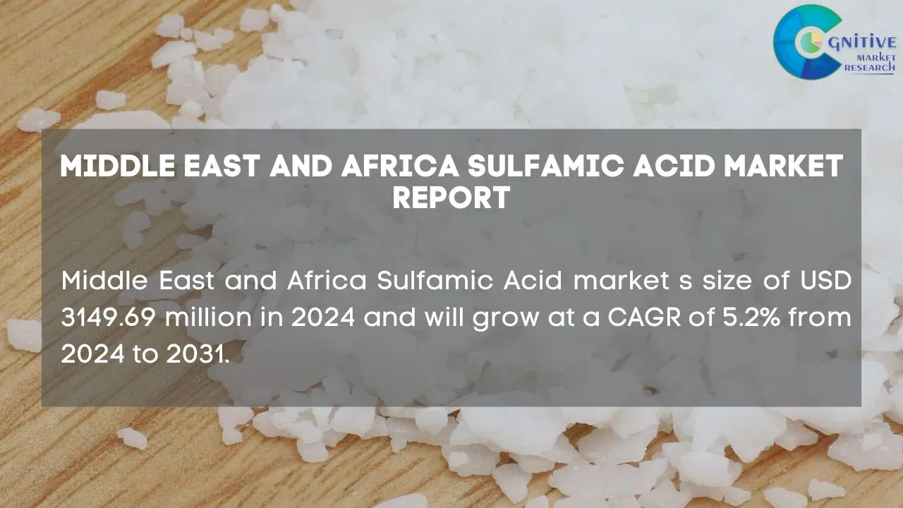 Middle East Sulfamic Acid Market Report