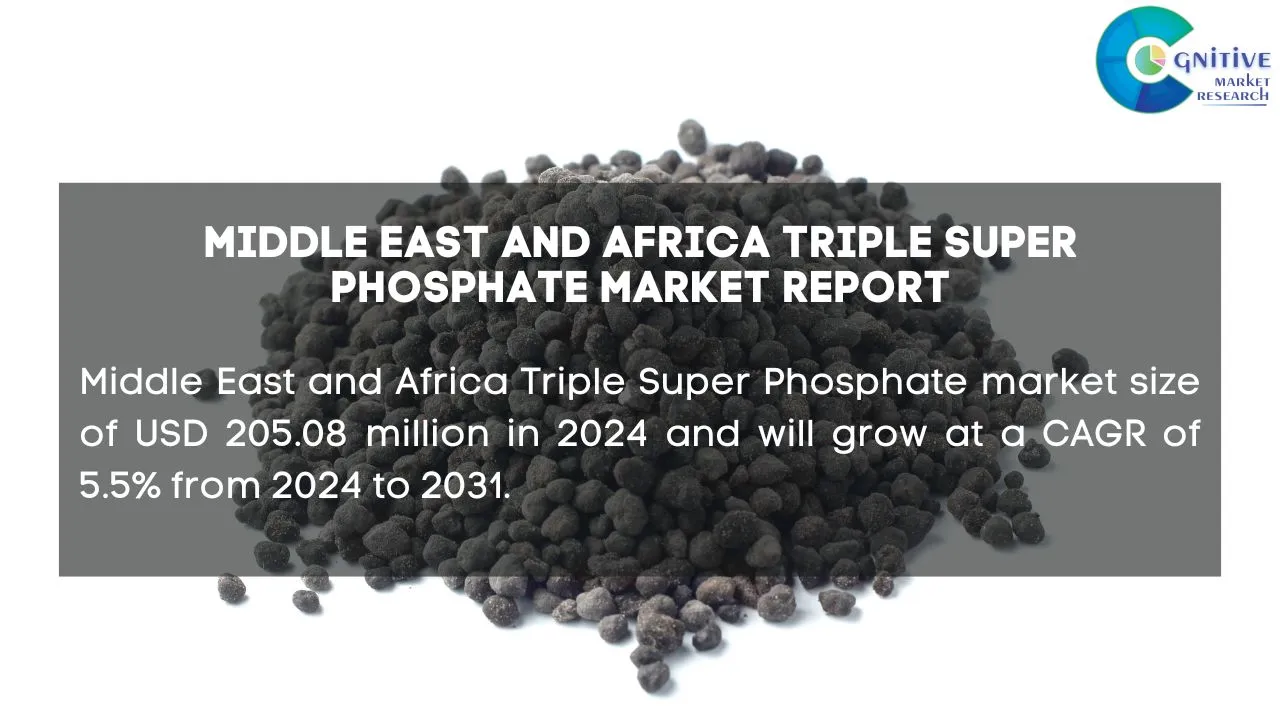 Middle East Triple Super Phosphate Market Report
