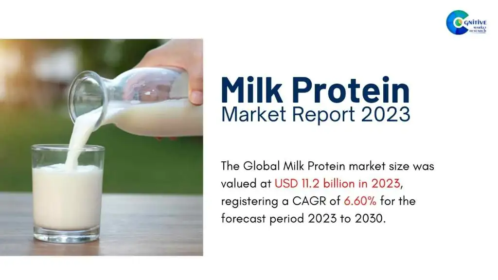 Milk Protein Market Report