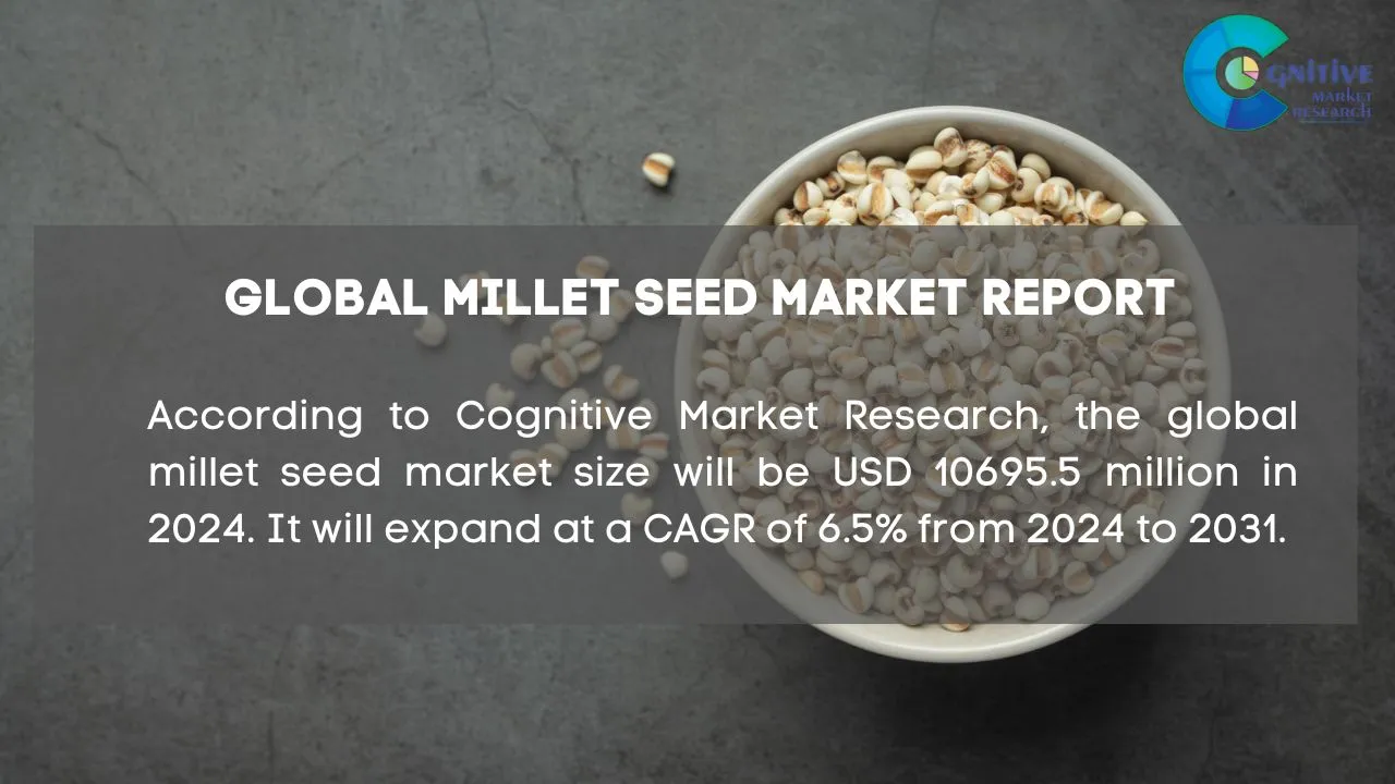Millet Seed Market Report