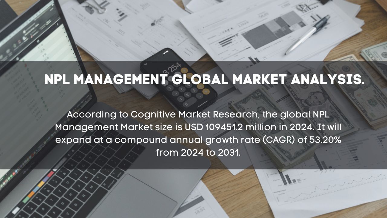 NPL Management Market Report