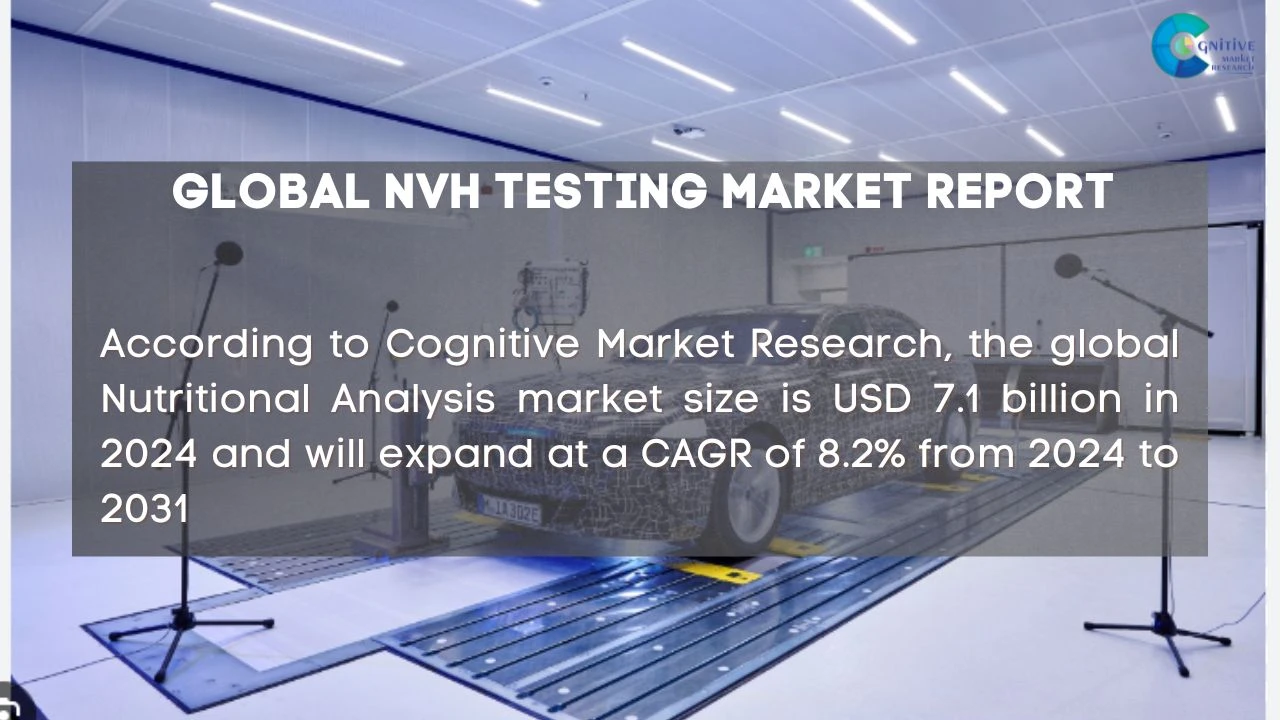 NVH Testing Market Report
