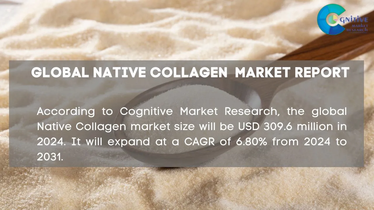 Native Collagen Market Report