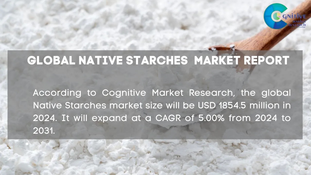 Native Starches Market Report