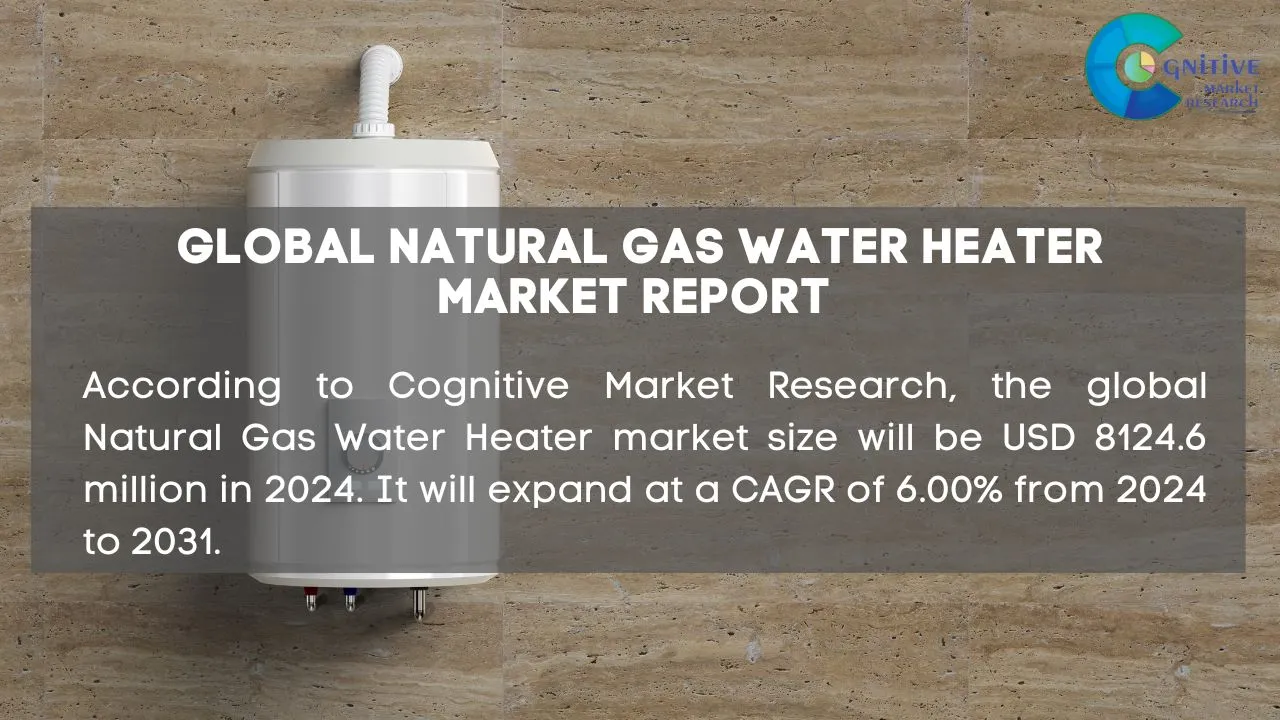 Natural Gas Water Heater Market Report