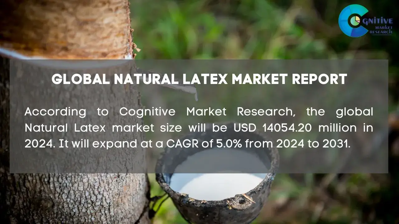 Natural Latex Market Report