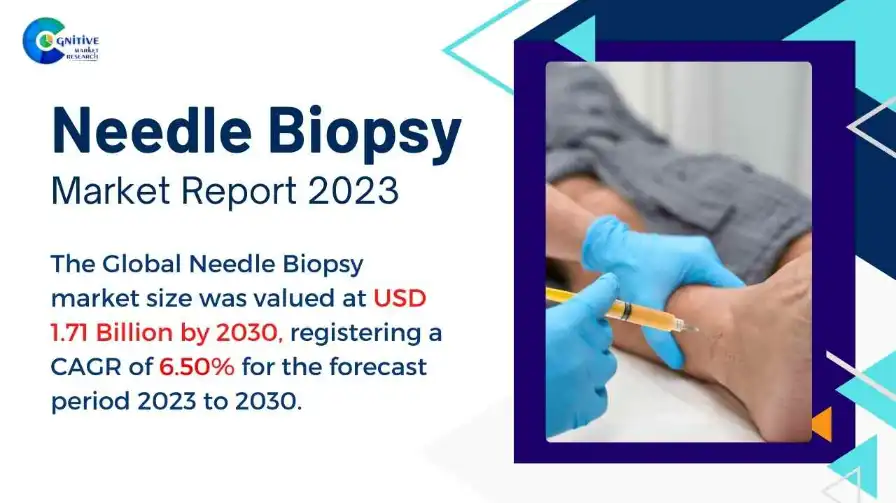 Needle Biopsy Market Report