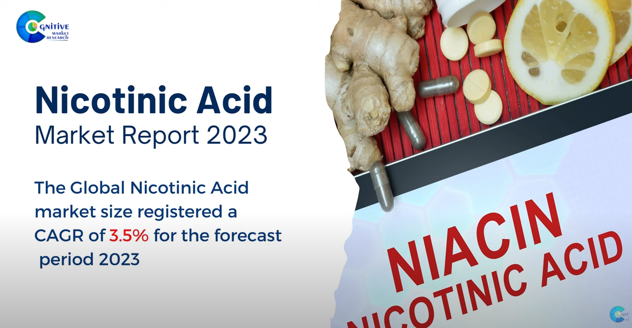 Nicotinic Acid Market Report