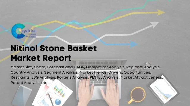 Nitinol Stone Basket Market Report