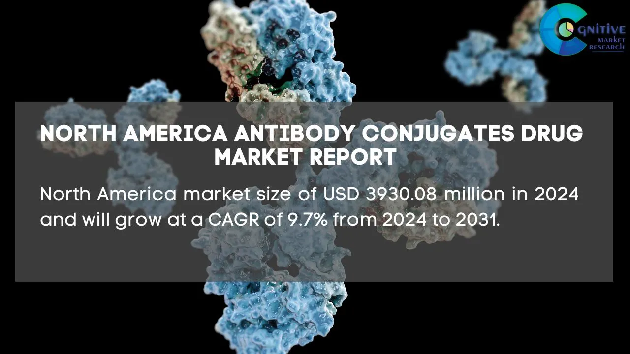 North America Antibody Conjugates Drug Market Report