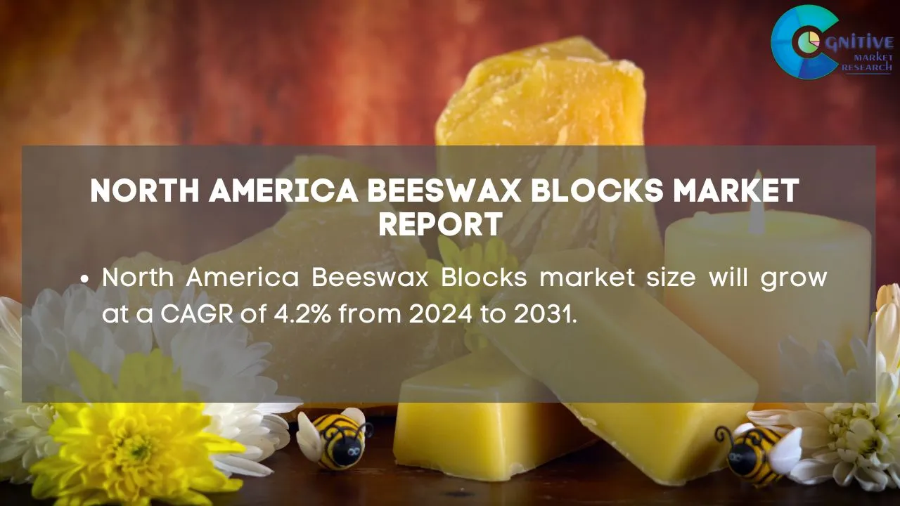 North America Beeswax Blocks Market Report