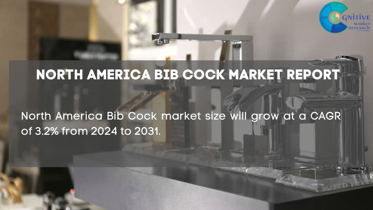 North America Bib Cock Market Report