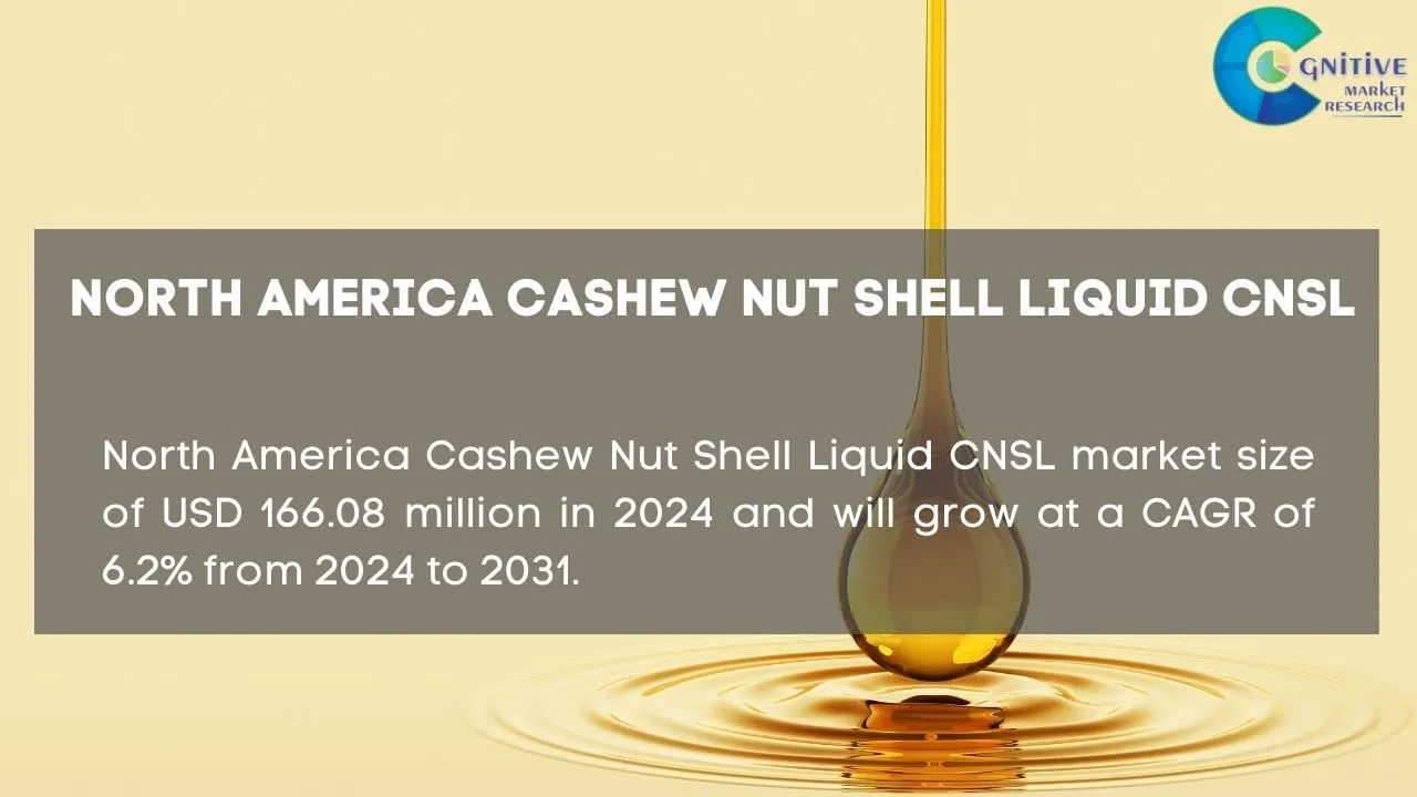 North America Cashew Nut Shell Liquid CNSL Market Report