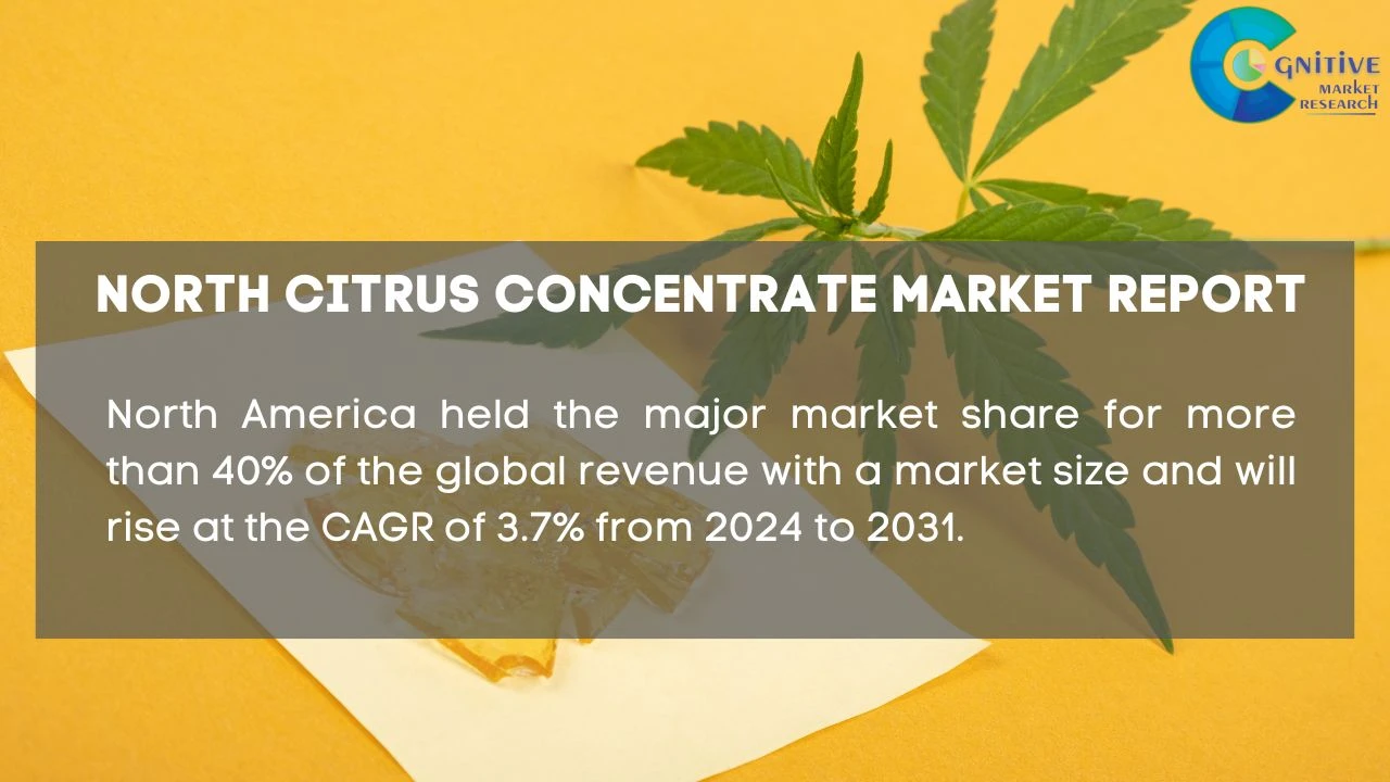 North America Citrus Concentrate Market Report