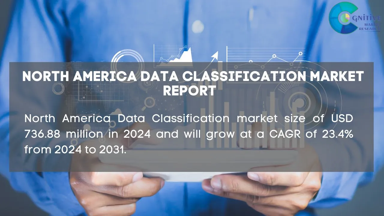 North America Data Classification Market Report