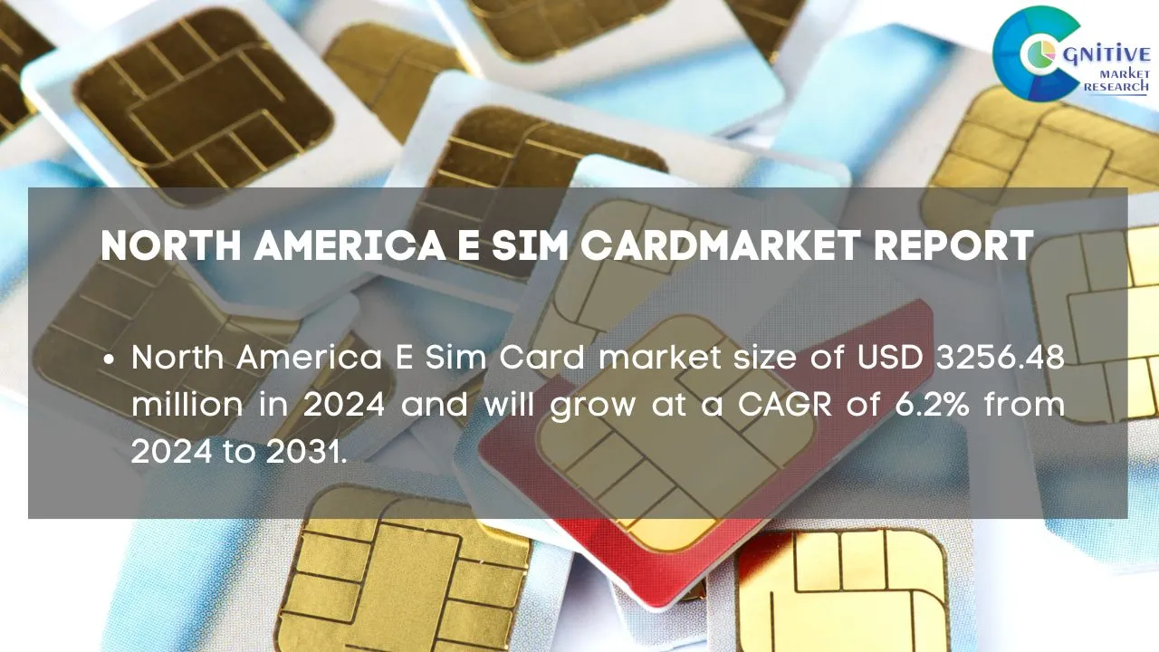 North America E Sim Card Market Report