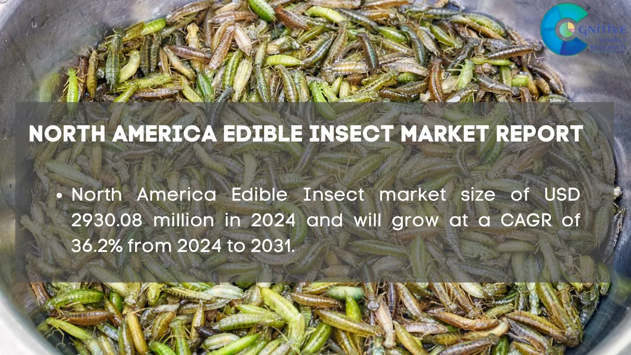 North America Edible Insect Market Report