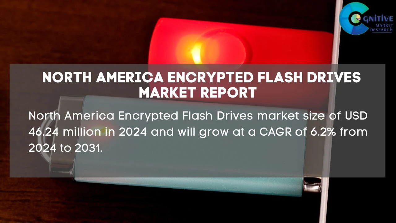 North America Encrypted Flash Drives Market Report