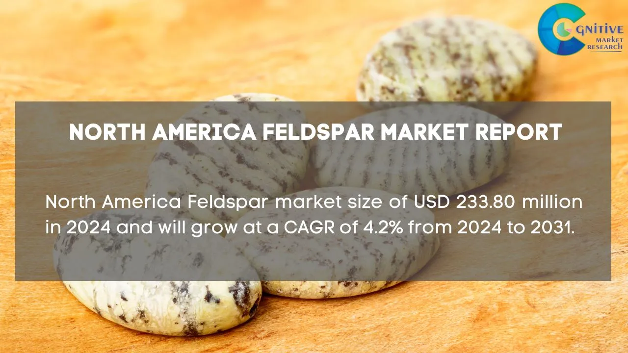 North America Feldspar Market Report