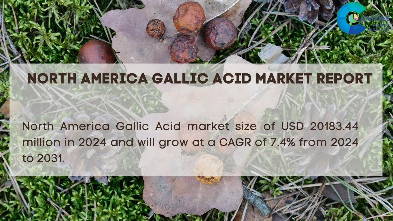 North America Gallic Acid Market Report