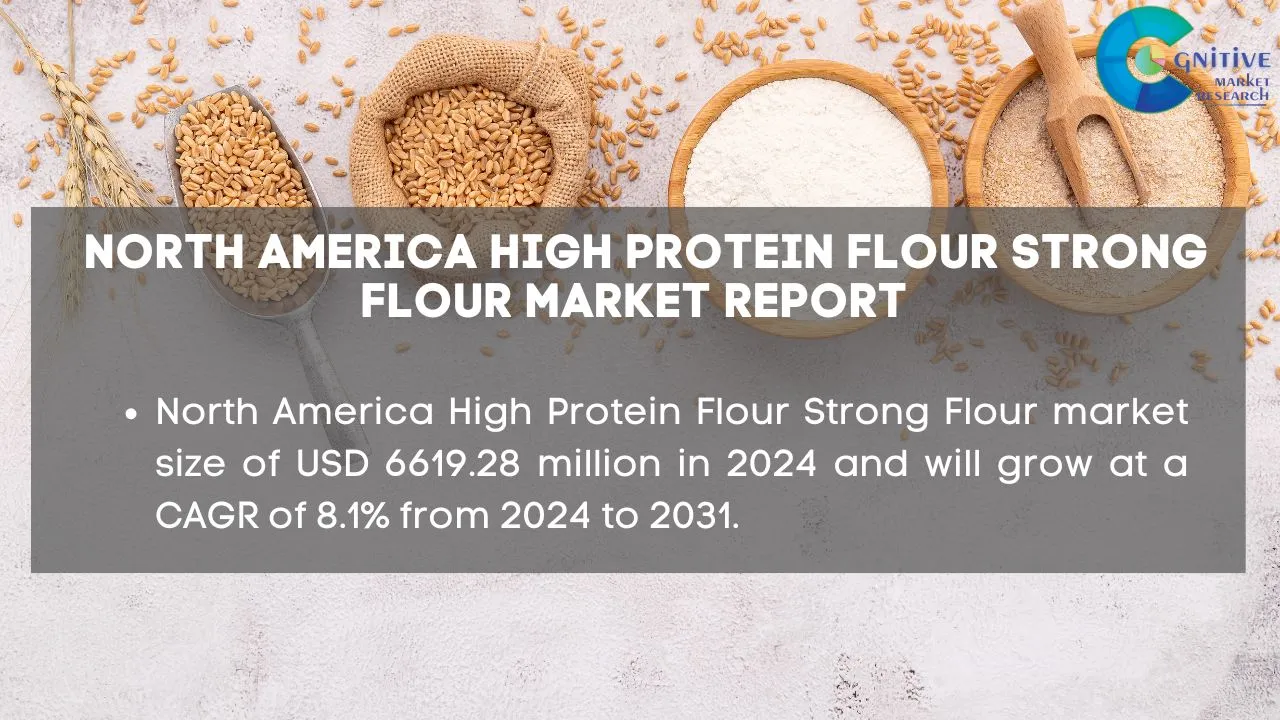 North America High Protein Flour Strong Flour Market Report
