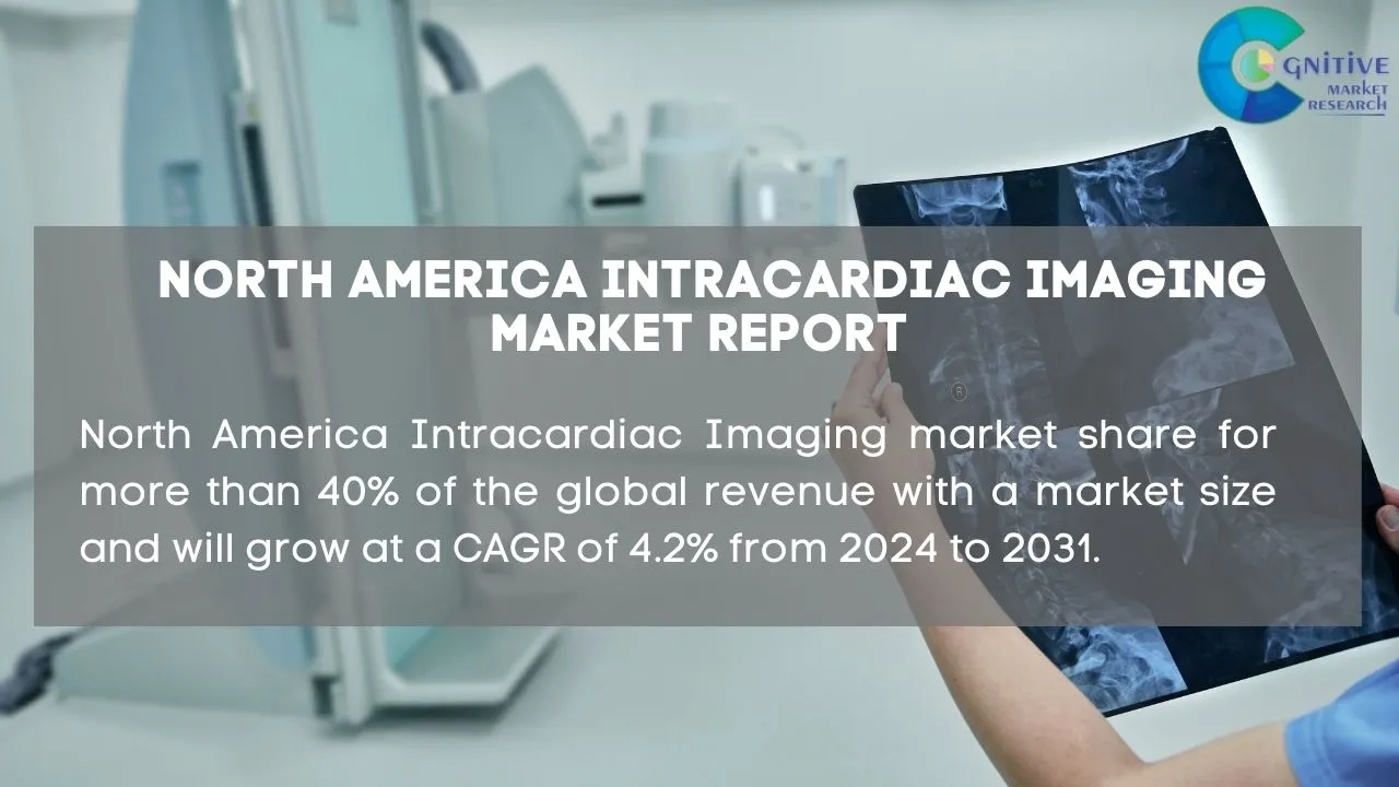 North America Intracardiac Imaging Market Report