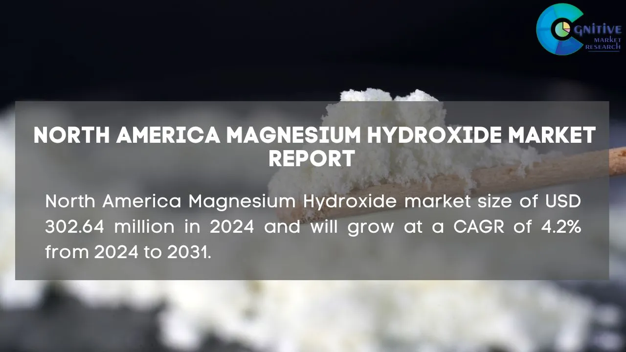 North America Magnesium Hydroxide Market Report