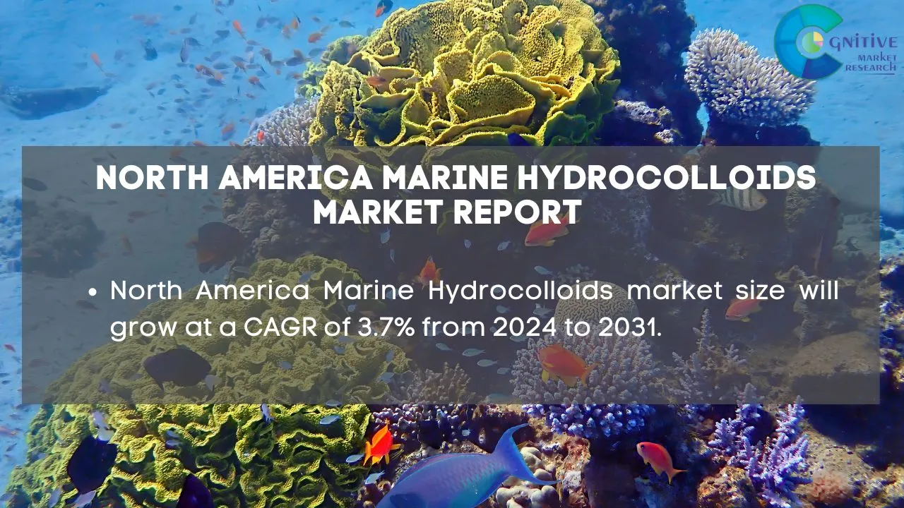 North America Marine Hydrocolloids Market Report