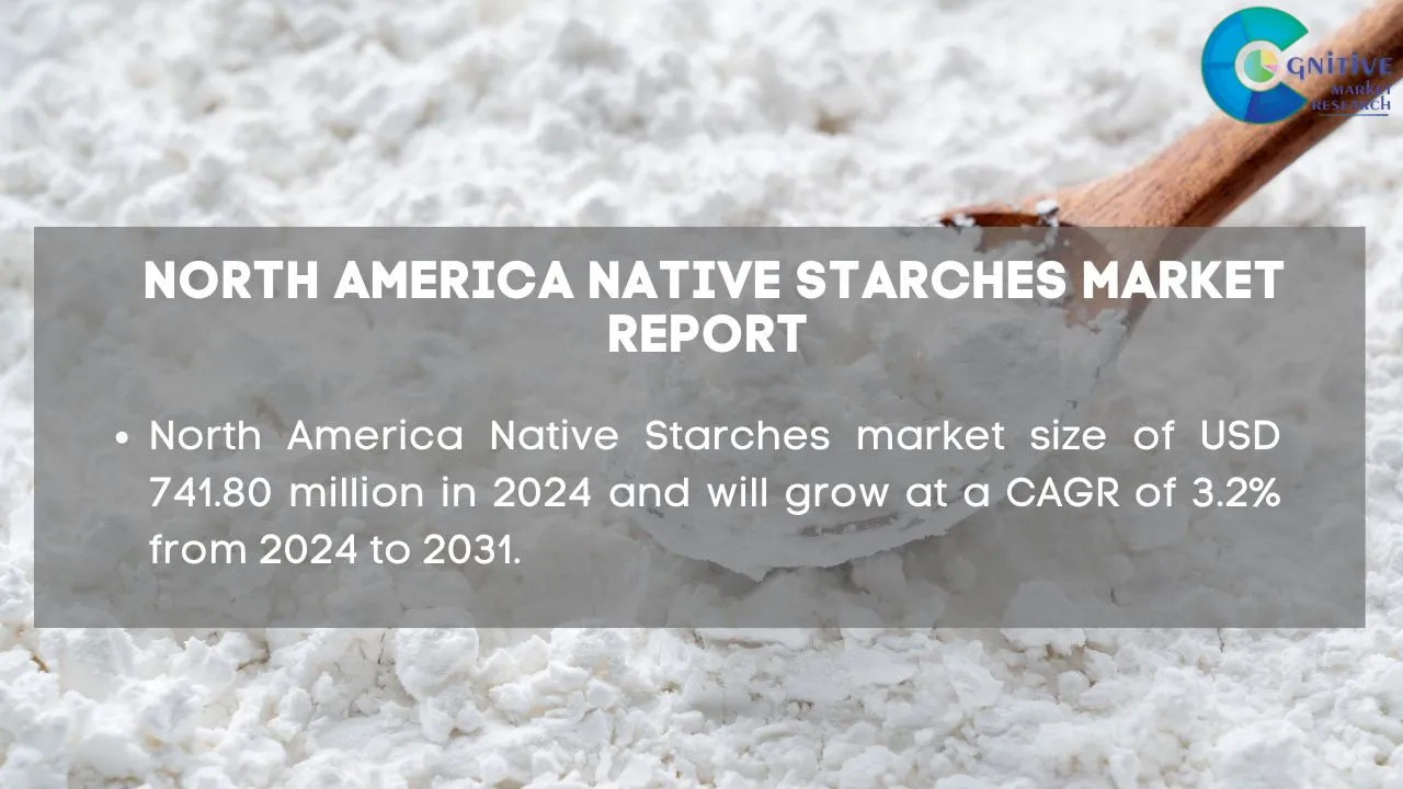 North America Native Starches Market Report