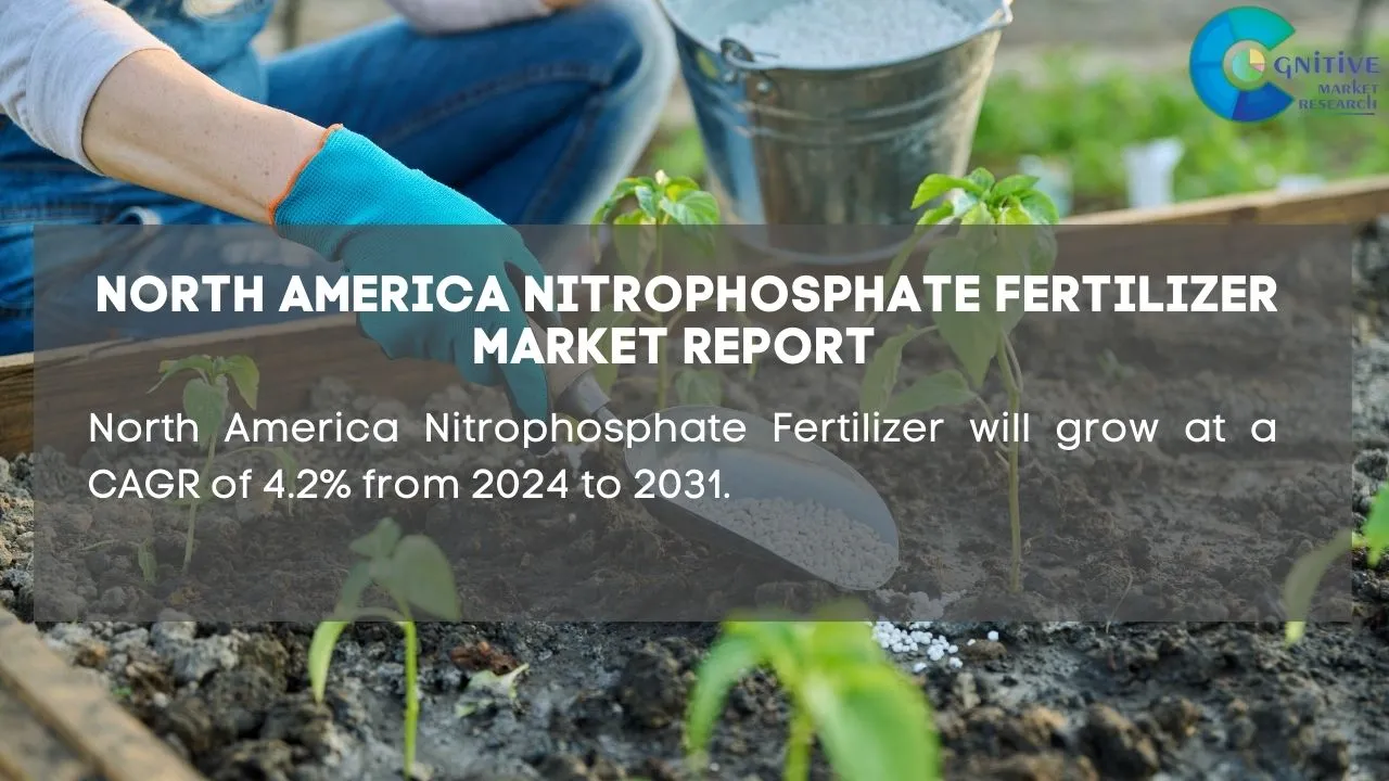 North America Nitrophosphate Fertilizer Market Report