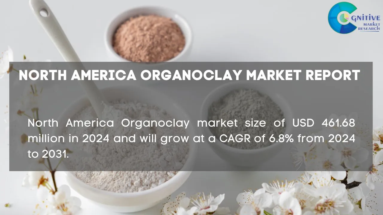 North America Organoclay Market Report