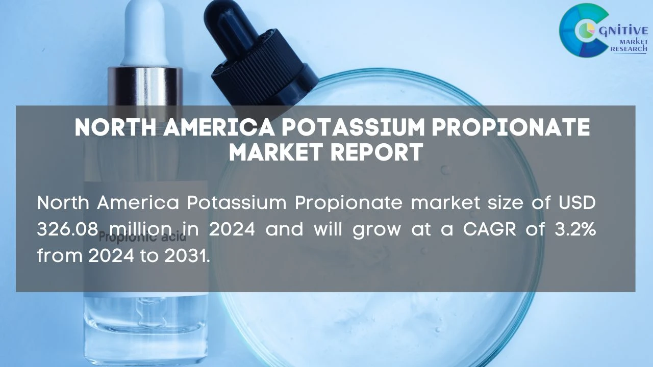 North America Potassium Propionate Market Report