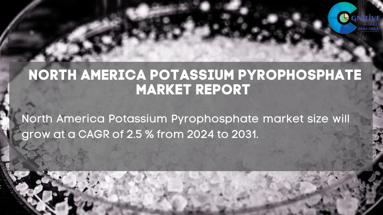 North America Potassium Pyrophosphate Market Report