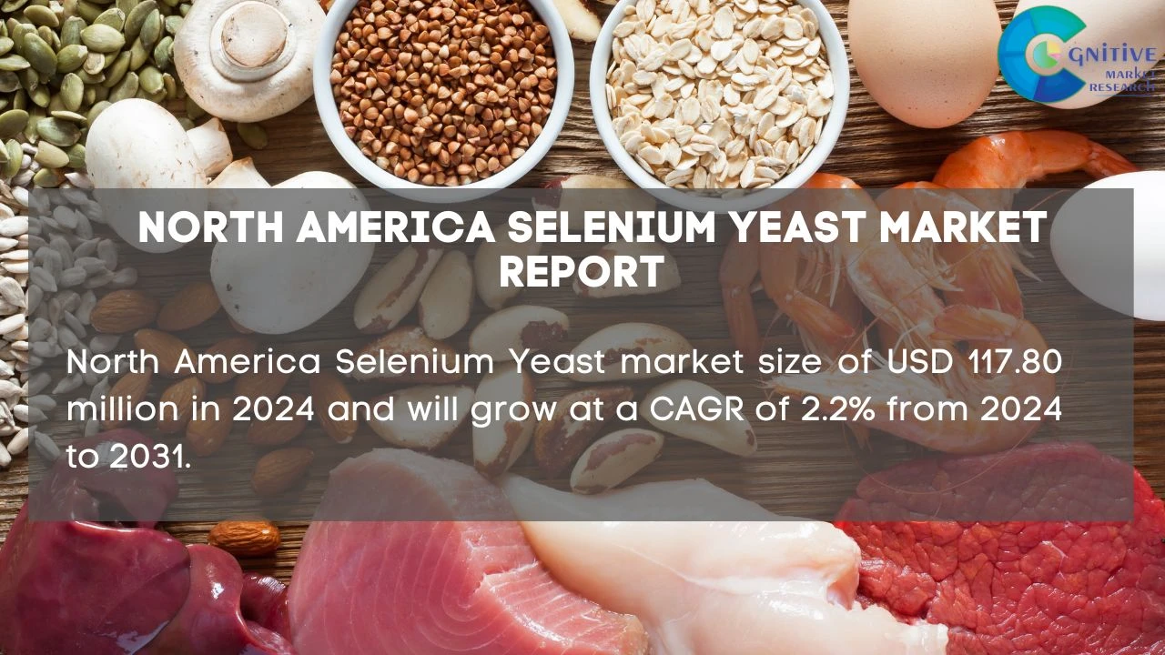 North America Selenium Yeast Market Report