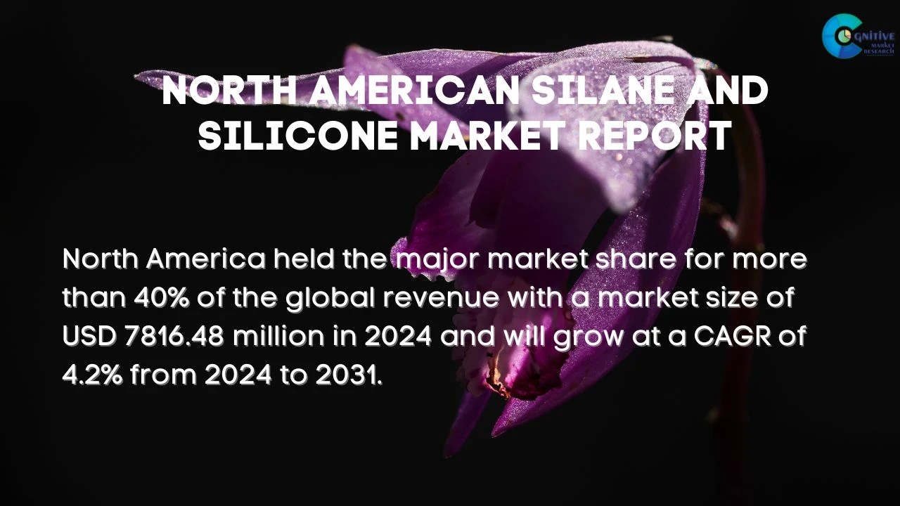 North America Silane and Silicone Market Report