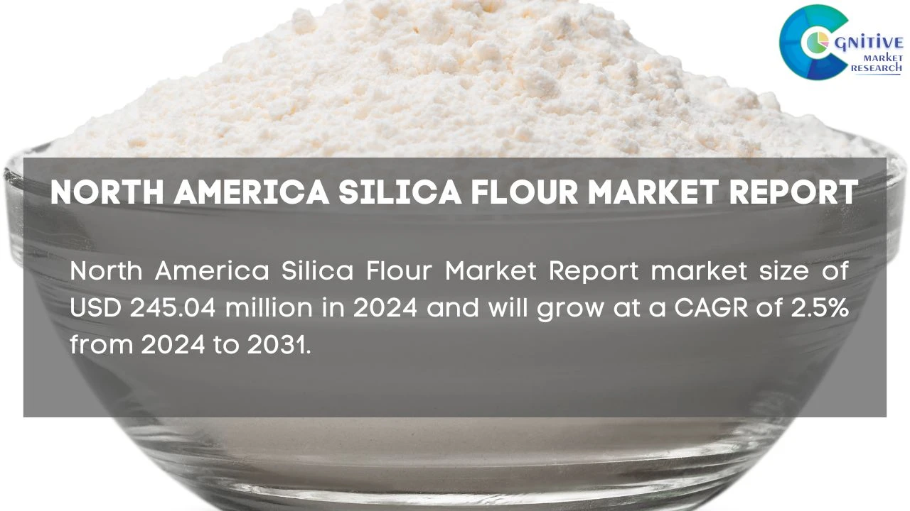 North America Silica Flour Market Report