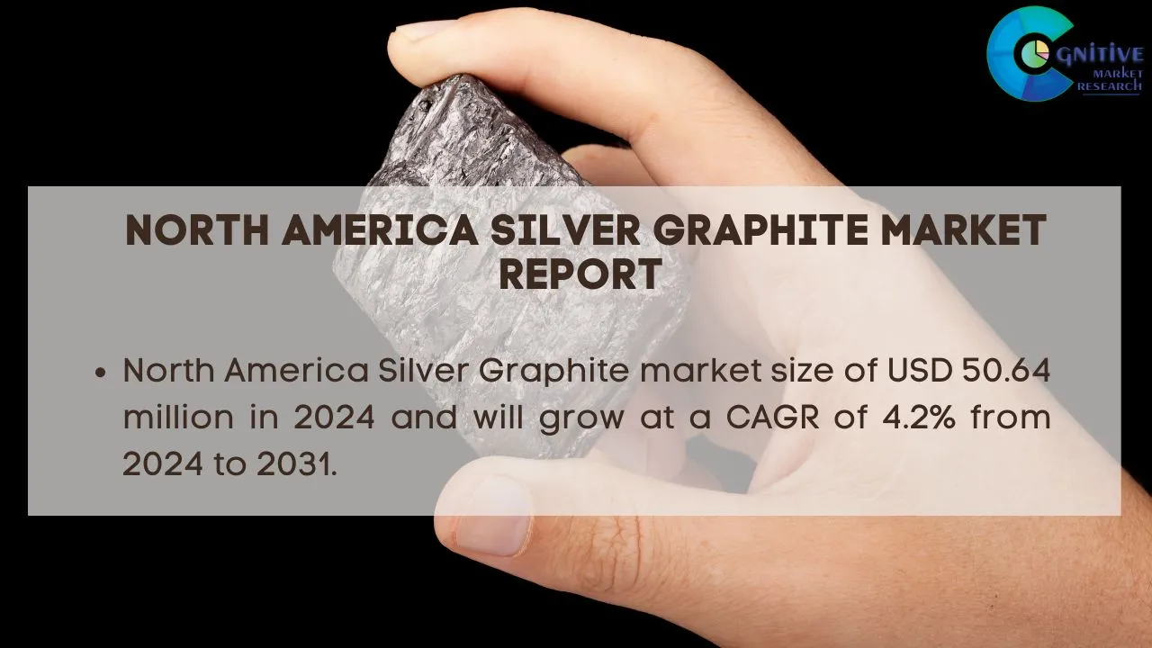 North America Silver Graphite Market Report