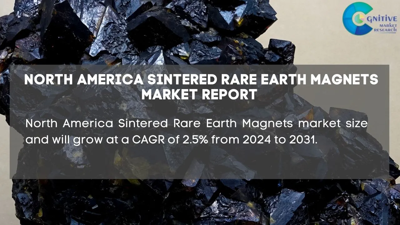 North America Sintered Rare Earth Magnets Market Report