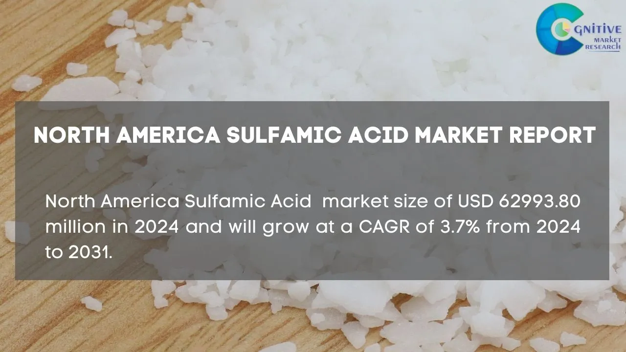 North America Sulfamic Acid Market Report