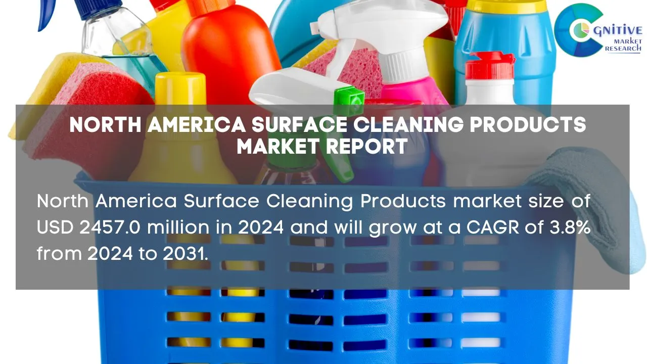 North America Surface Cleaning Products Market Report