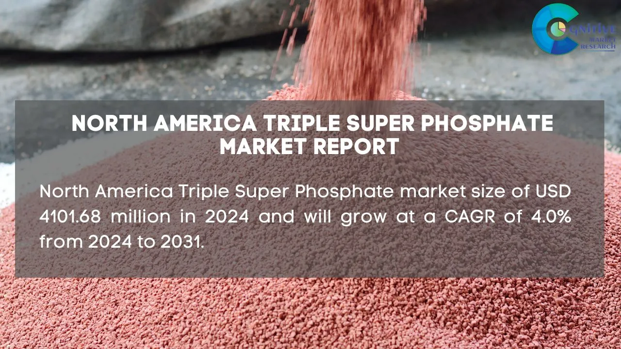 North America Triple Super Phosphate Market Report