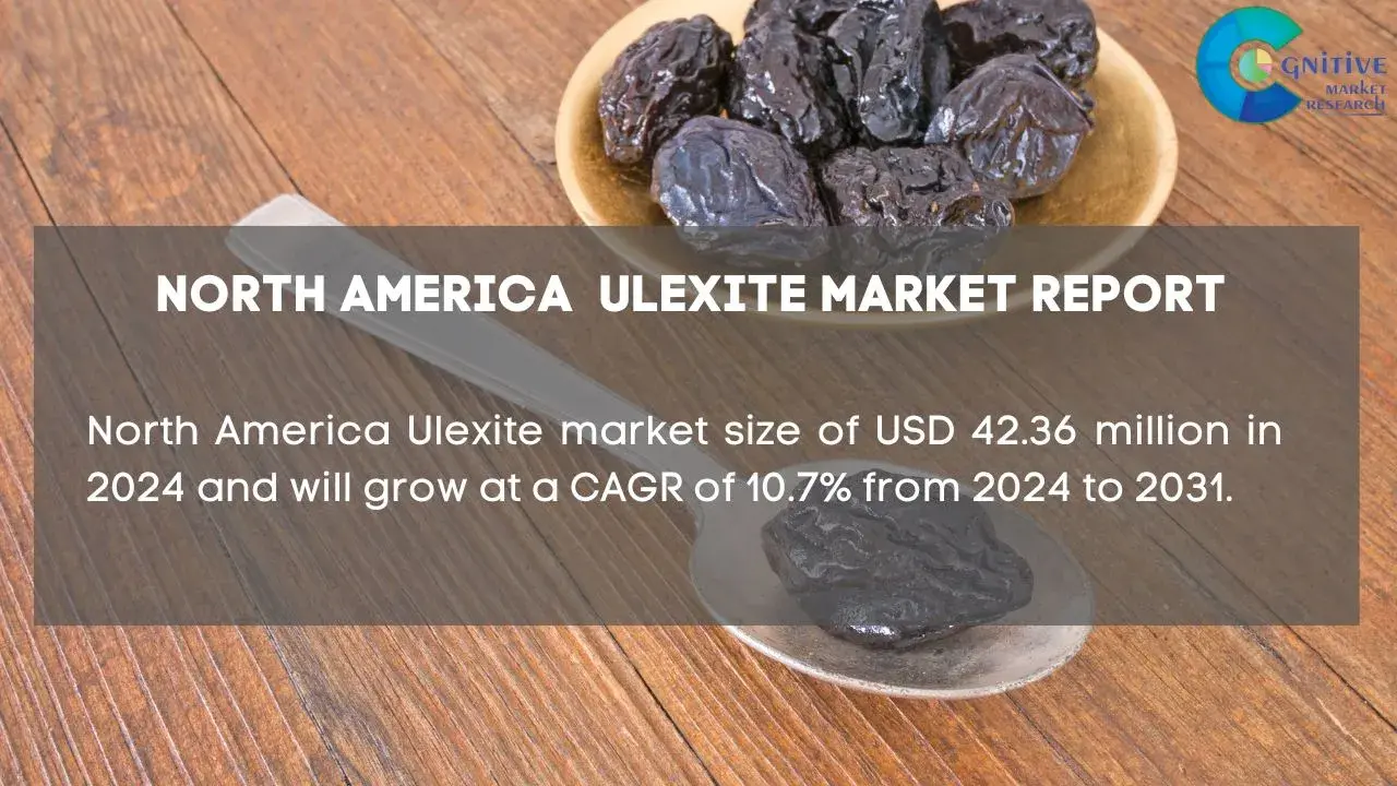 North America Ulexite Market Report