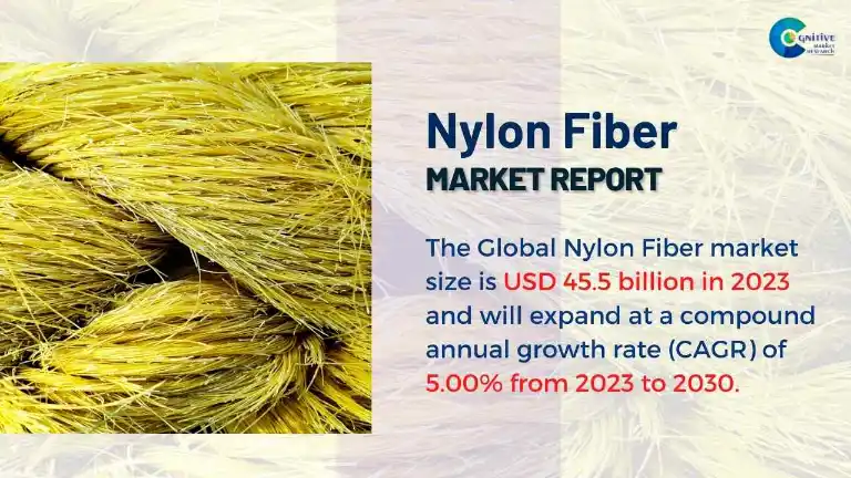Nylon Fiber Market Report