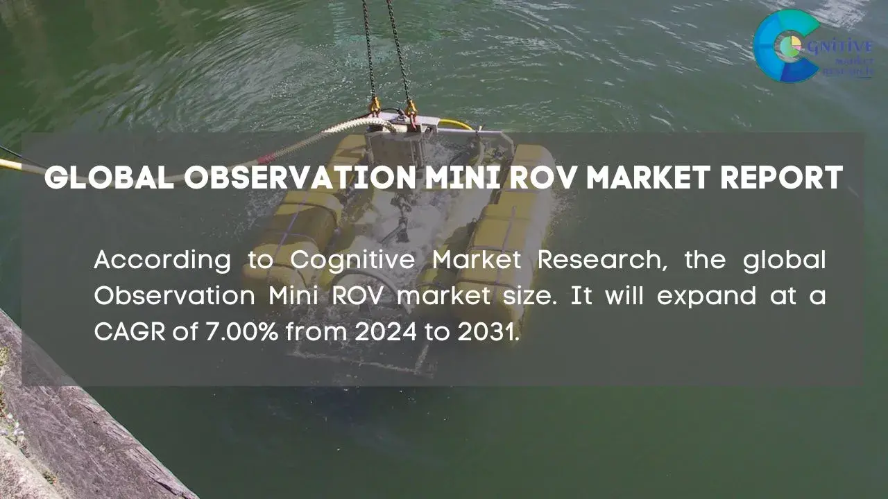 Observation Mini ROV Market Report