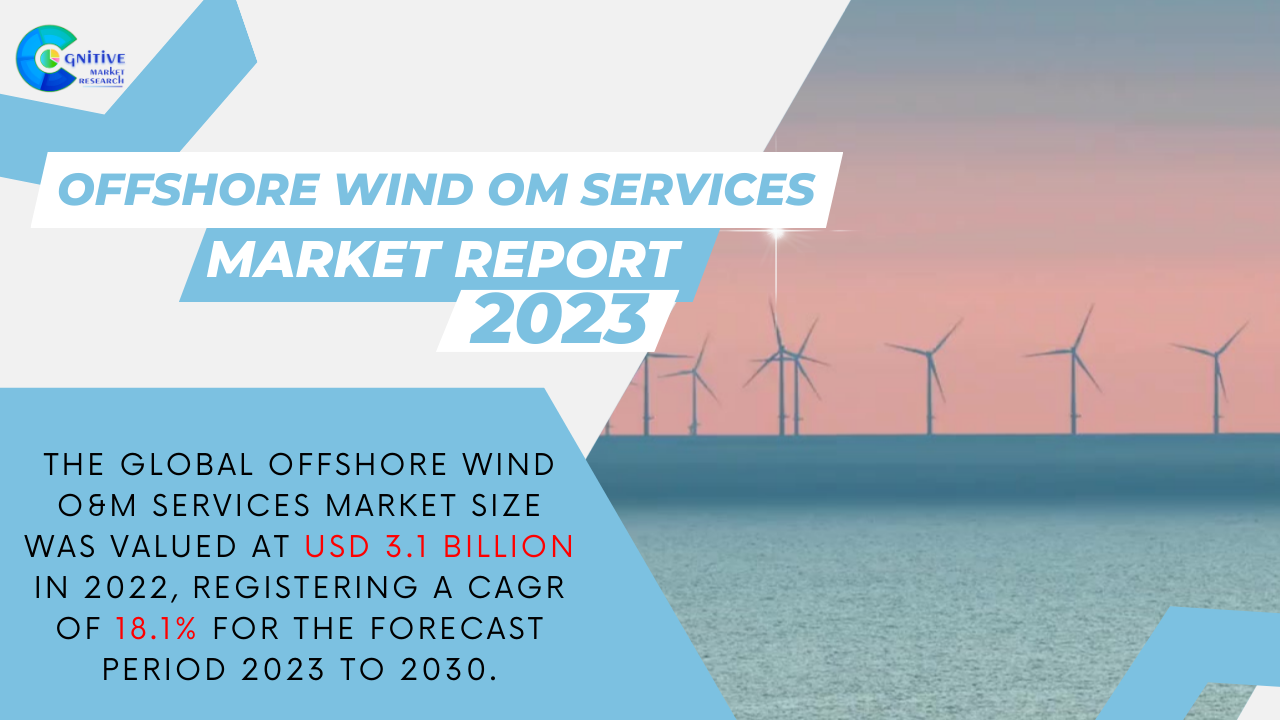 Offshore Wind OM Service Market Report