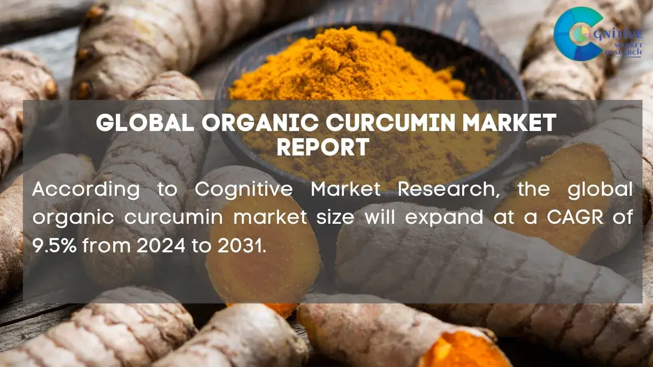 Organic Curcumin Market Report