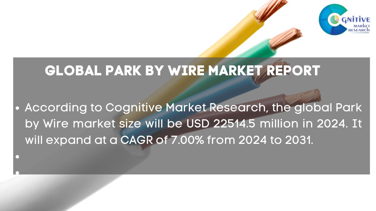 Park by Wire Market Report