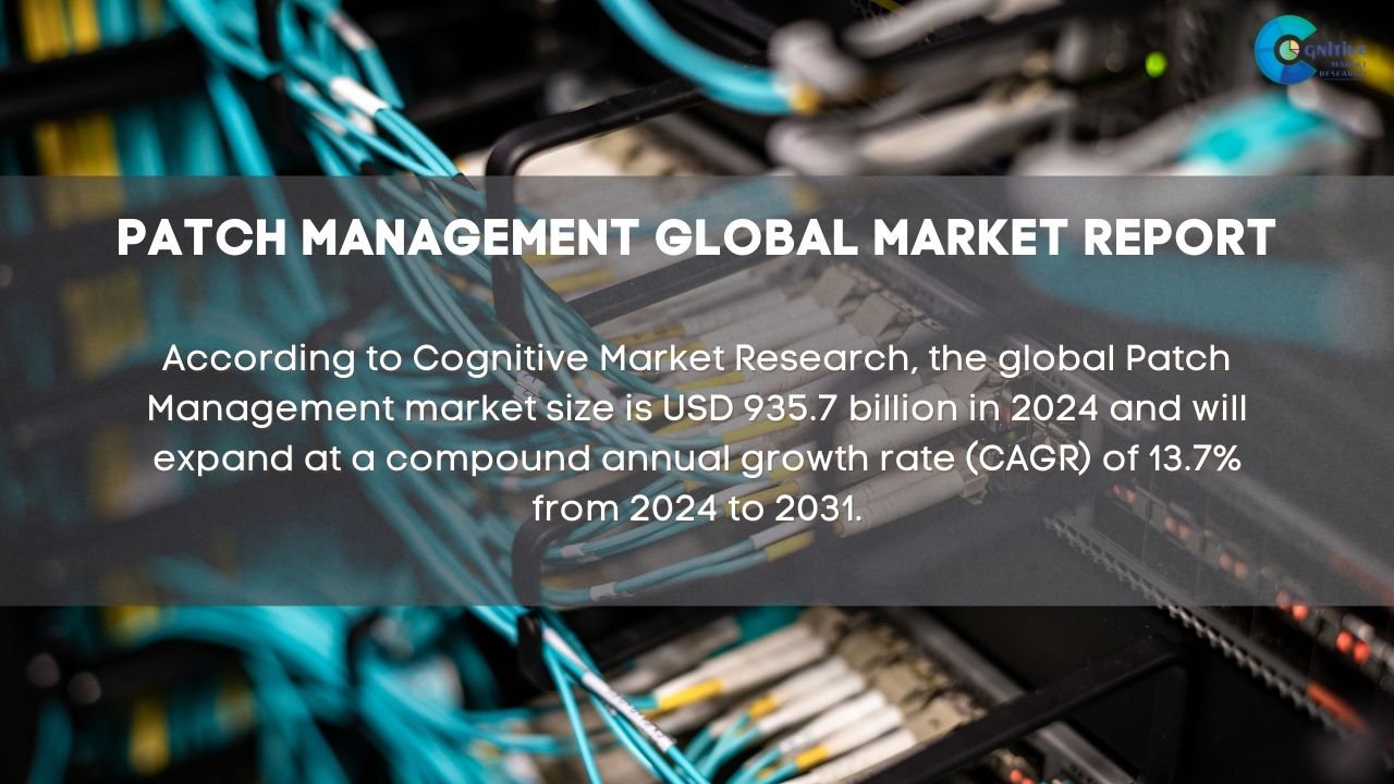 Patch Management Market Report