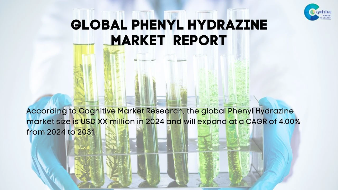 Phenyl Hydrazine Market Report